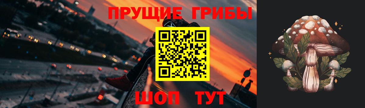 Псилоцибиновые грибы MAGIC MUSHROOMS  Псилоцибиновые грибы мицелий  Вход с VPN  Черняховск 