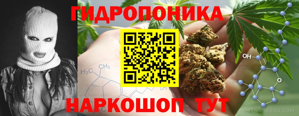 Каннабис MAZAR  Конопля семена  Черняховск  Вход с VPN  Канабис Amnesia 